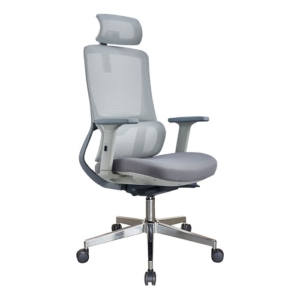 Ghế Công Thái Học GLE05-1