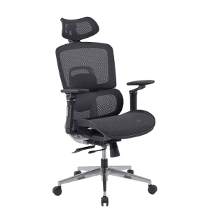 Ghế Công Thái Học GLE12-2