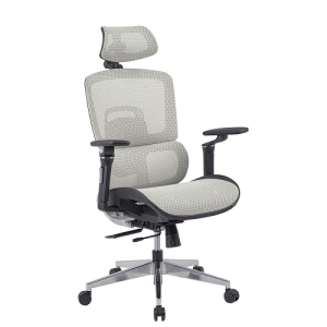 Ghế Công Thái Học GLE12-1